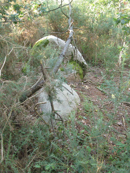 Menhirs du Moustoir/Man&eacute; Er Ouah Tihir